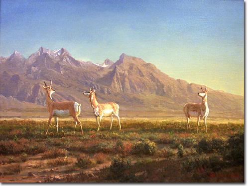 Albert Bierstadt Prong-Horned Antelope